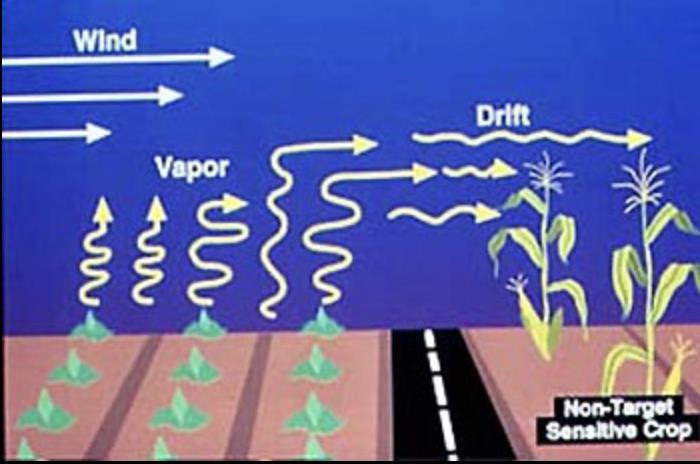 Drift potential illustration showing wind effects