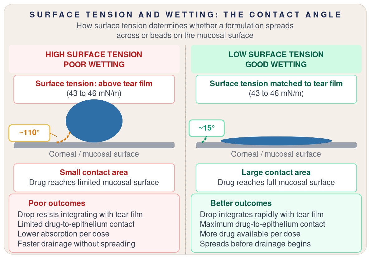 Contact angle comparison showing how a formulation with surface tension above the tear film range beads with a large contact angle and poor wetting, while one matched to 43 to 46 mN/m spreads across the corneal surface