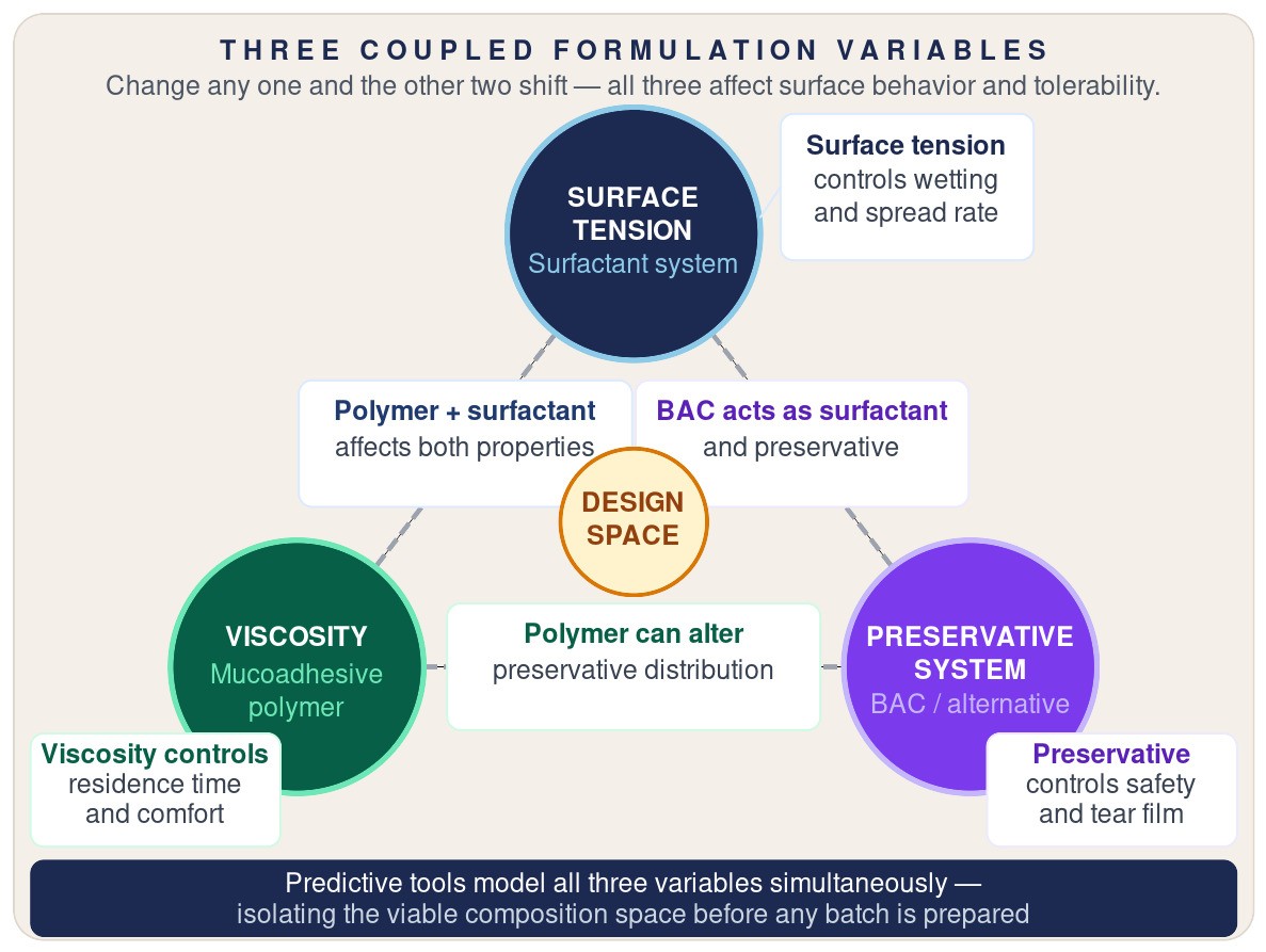 Diagram of the coupled design space linking surface tension, viscosity and the preservative system, showing how benzalkonium chloride acts as both surfactant and preservative and how polymer-surfactant interaction moves both properties at once