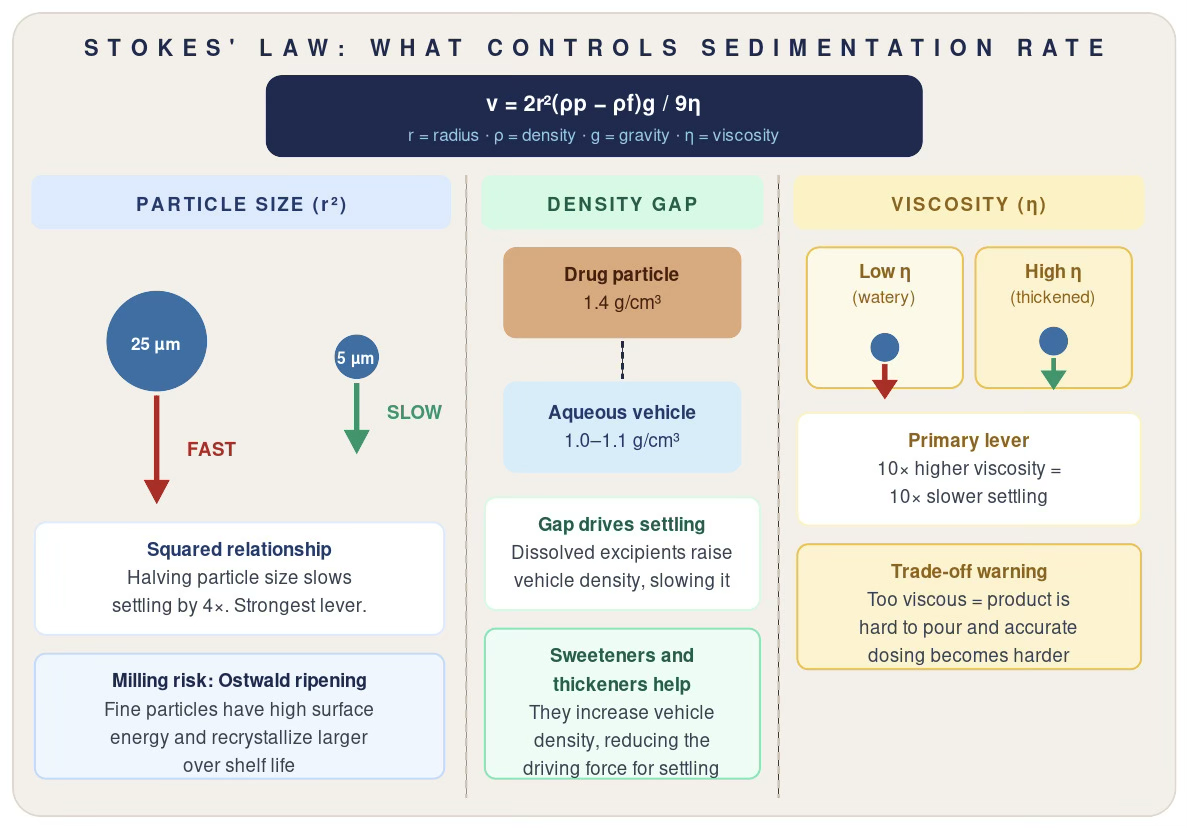 Breakdown of Stokes' Law into the three levers controlling sedimentation rate: particle size through a squared relationship, the density gap between drug particle and aqueous vehicle, and continuous phase viscosity, each with its associated formulation trade-off