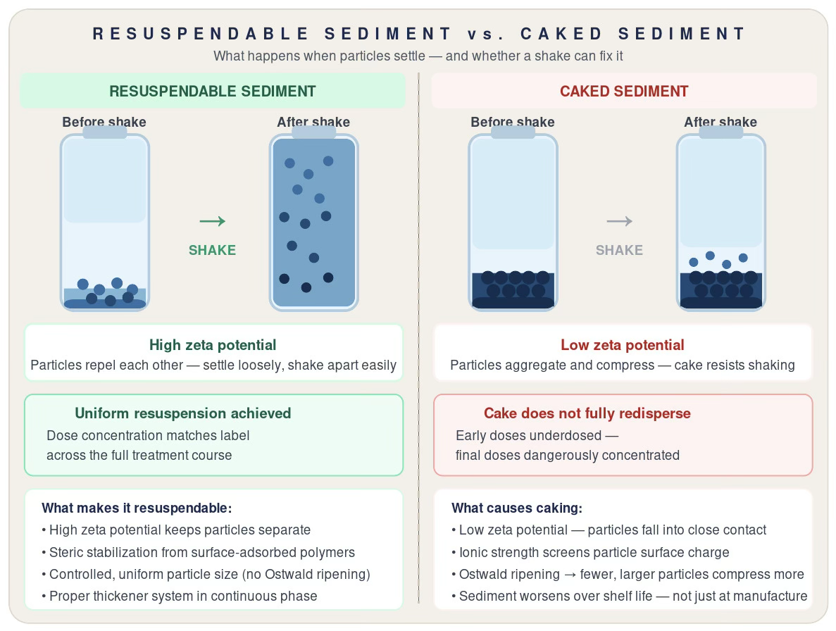 Comparison of resuspendable and caked sediment before and after shaking: high zeta potential keeps particles loosely settled so they redisperse uniformly, while low zeta potential lets particles aggregate into a compacted cake that shaking cannot fully redisperse
