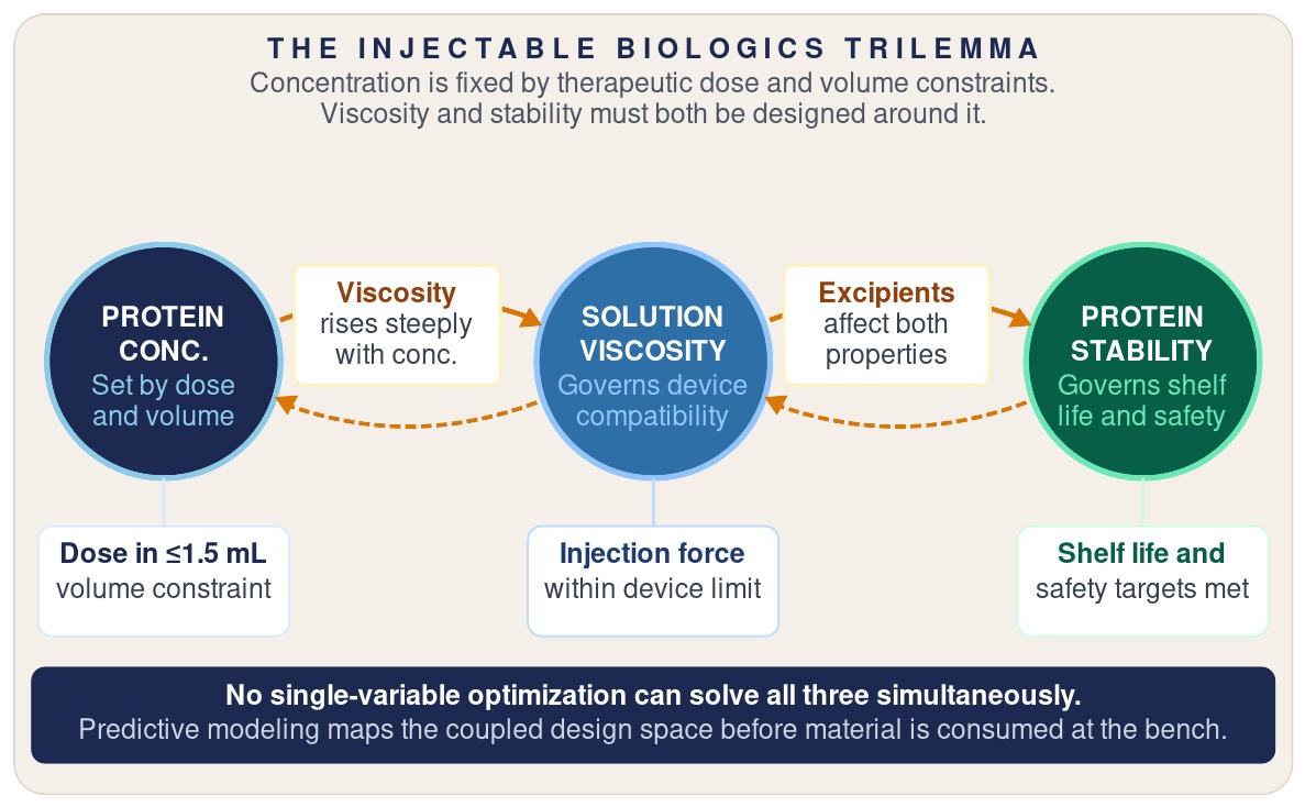 Diagram of the injectable biologics trilemma linking protein concentration, set by dose and volume, to solution viscosity, which governs device compatibility, and to protein stability, which governs shelf life, with excipients affecting both properties at once
