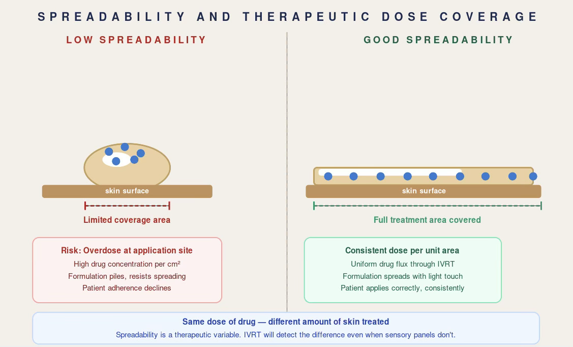 Comparison of low and good spreadability at equal dose: a low-spreadability formulation piles at the application site with limited coverage and overdose risk, while a well-spread film covers the full treatment area at a consistent dose per unit area